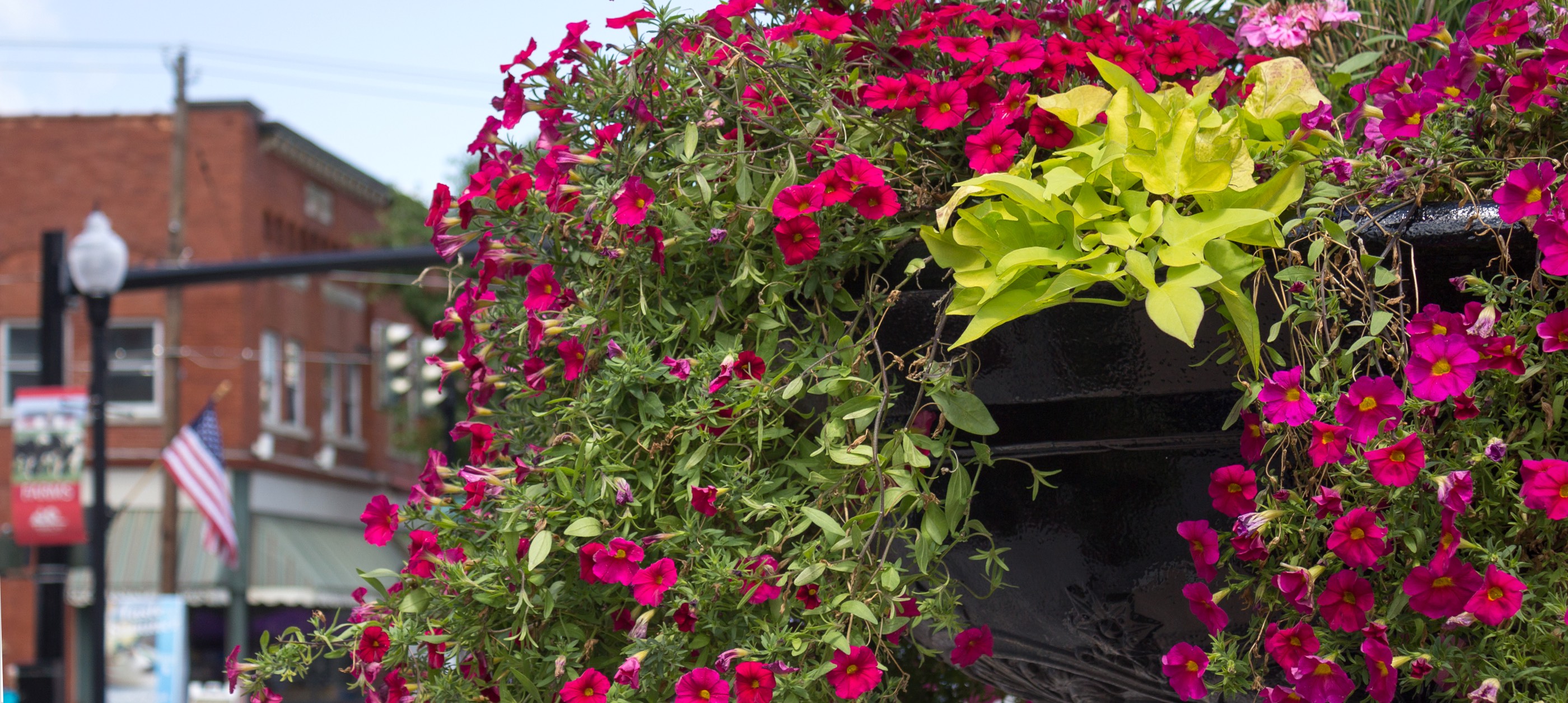 Perry
